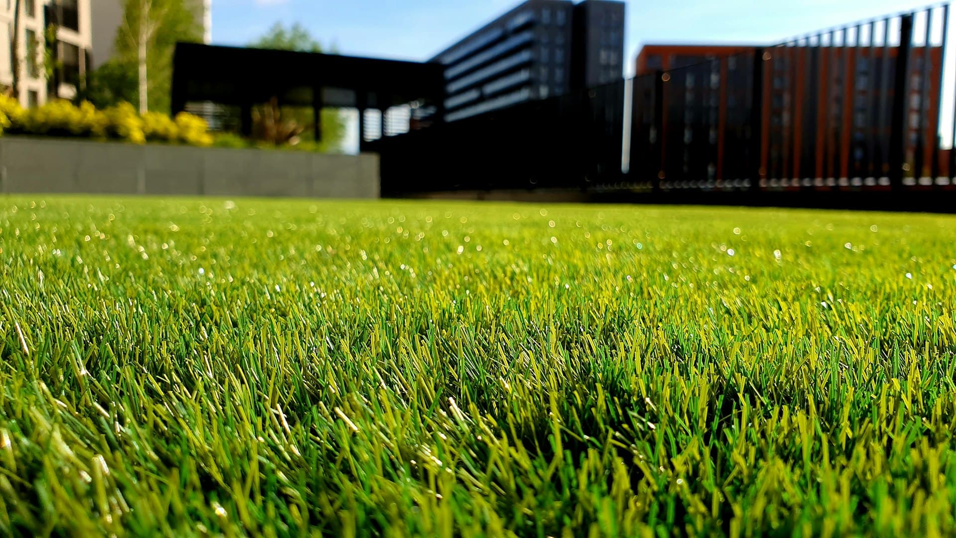 Well-maintained green lawn