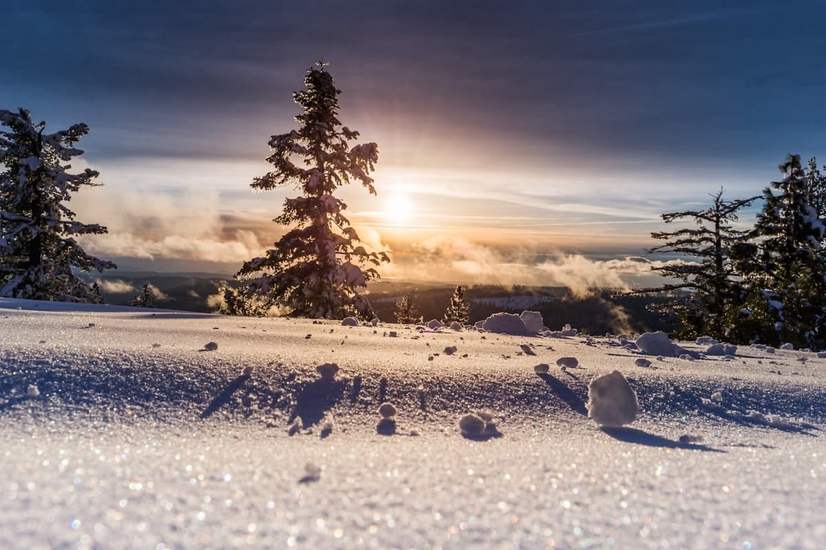 Snow & Ice Management
